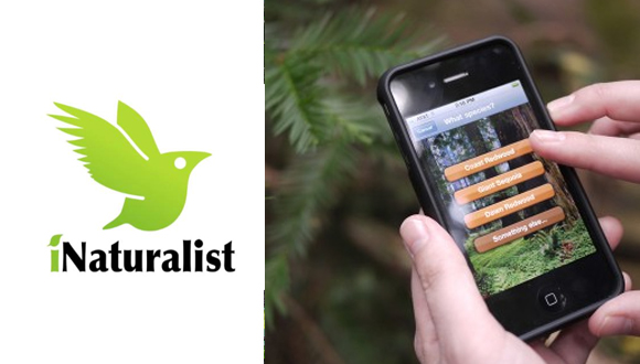 Use the iNaturalist app to get your Personal Trainer Food steps in; it's fun and easy to lose weight this way!