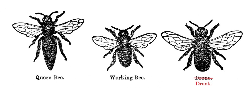 A drunk bee is a happy bee?