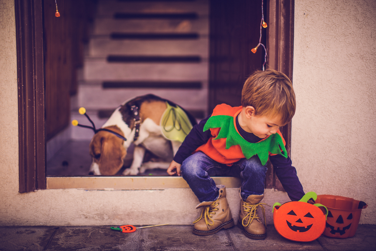 Get your kids tiny but adorable trick or treat bags for their Halloween candy.
