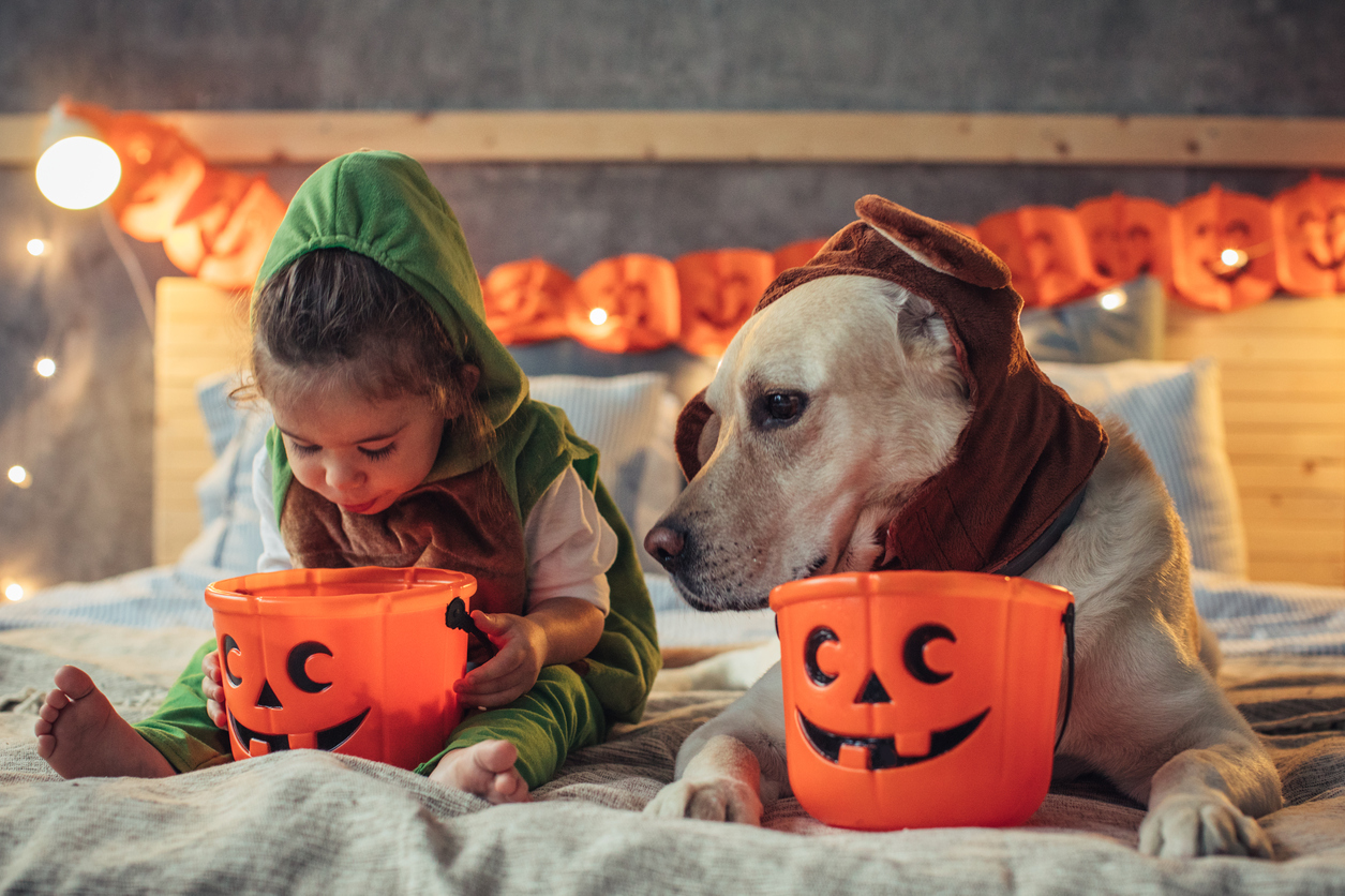 Healthy Halloween idea: if you littles can't read, you might tell them that their candy has expired.