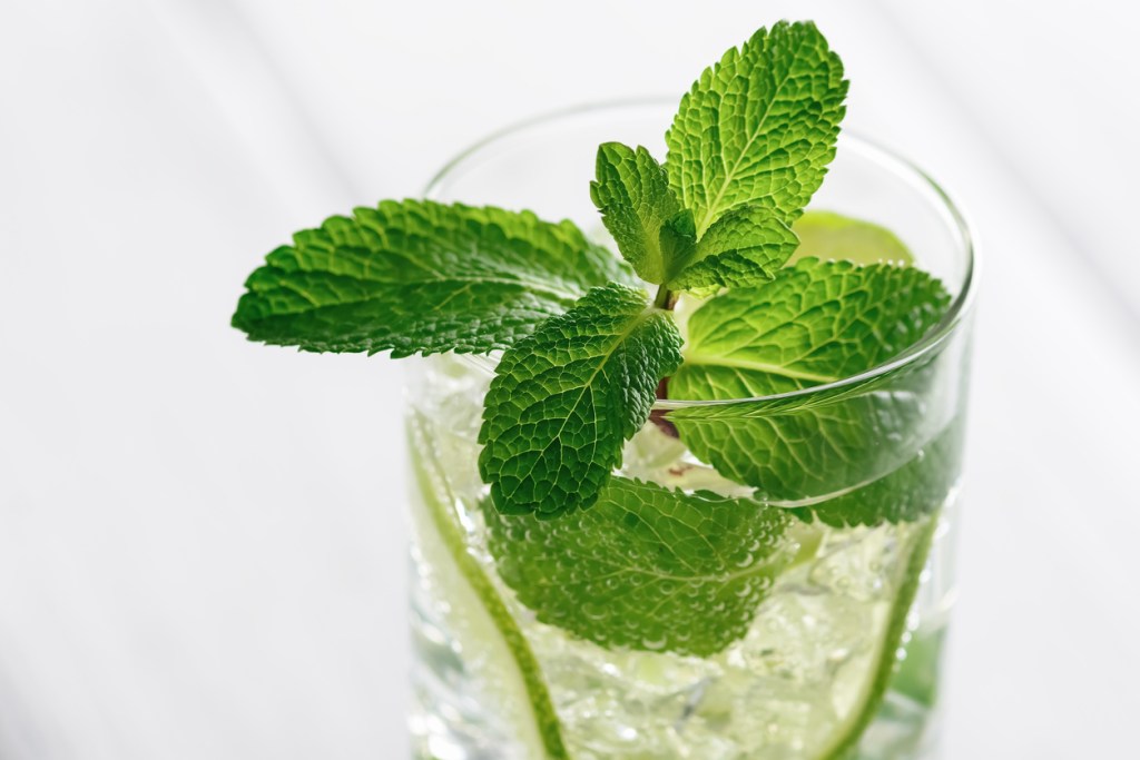 Mojito Mocktail