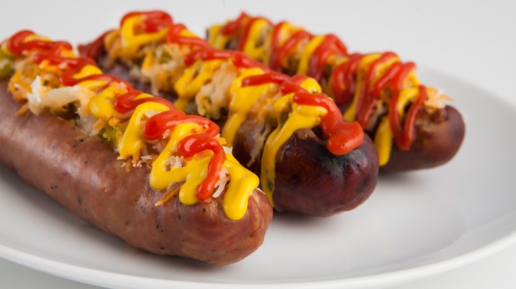 Dogs for Summer Days