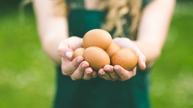 5 Facts to Settle the Great Egg Debate