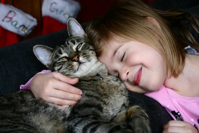 Things to feel good about, like knowing Personal Trainer Food will help you lose weight, and listening to your cat purr.