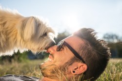 Here's how to get happy with your favorite pet and Personal Trainer Food.