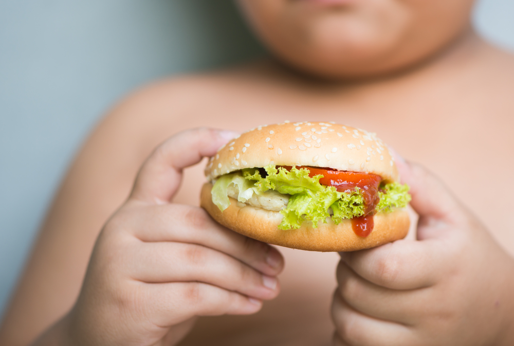 An obese child eats junk food. 