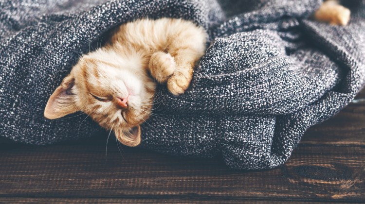 47 Things You Can Feel Happy About Right Now