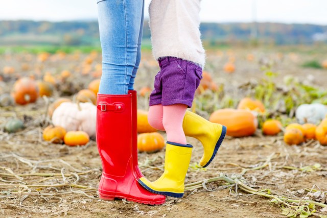 Colorful rubber boots make people so happy, like Personal Trainer Food!