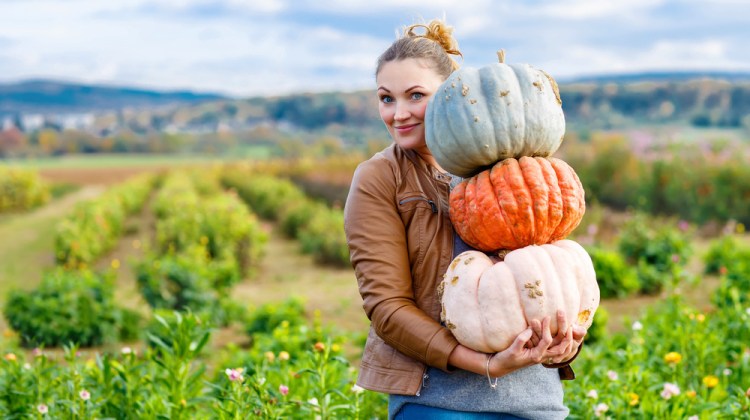 Which Vegetables Actually Burn Fat? You’ll be Surprised!