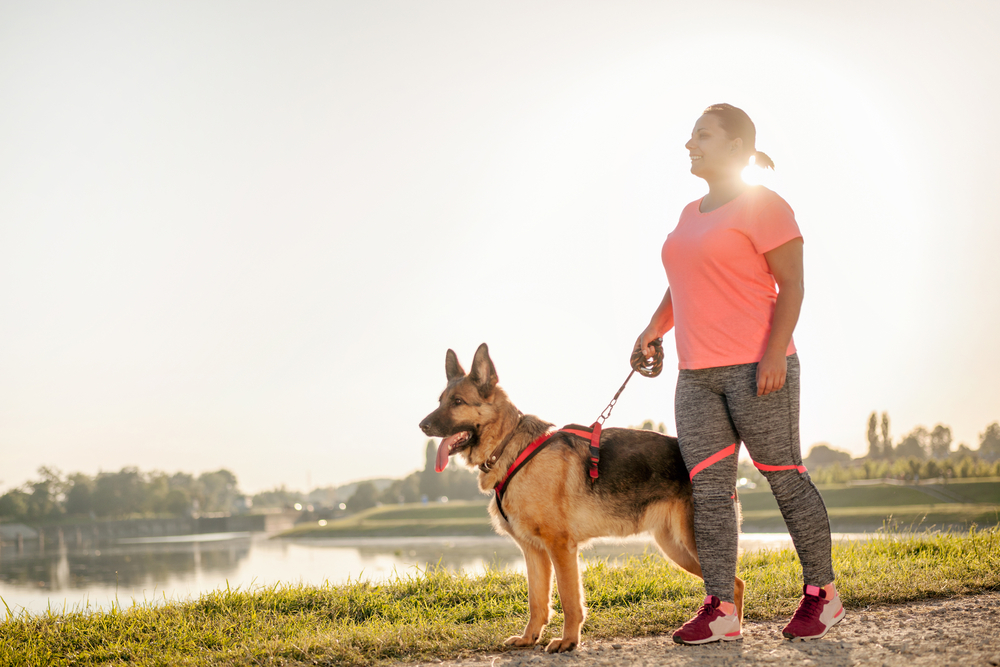 Find and track any walk you want with the AllTrails app; it can even help you lose weight as you get your Personal Trainer Food steps in when you walk the dog!