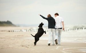 Personal Trainer Food guidelines are so easy to follow; all we ask is that you walk at least 20 minutes a day and you will lose weight.