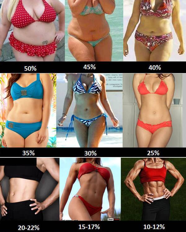 Use this chart to find out what your body fat % is, and to set your fitness goals with Personal Trainer Food.